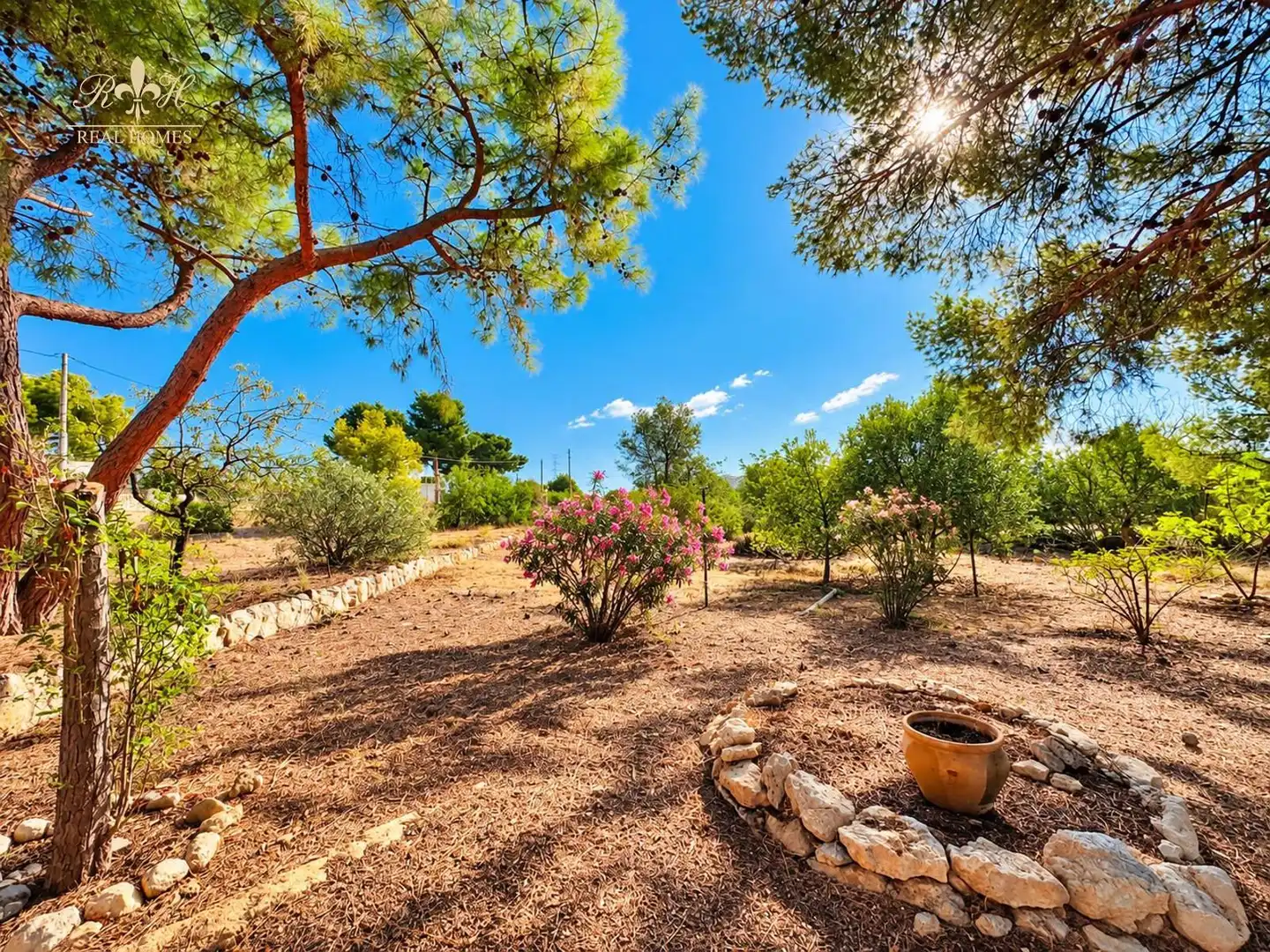 Detached house with pool for sale in EL PLANET, imagen 11
