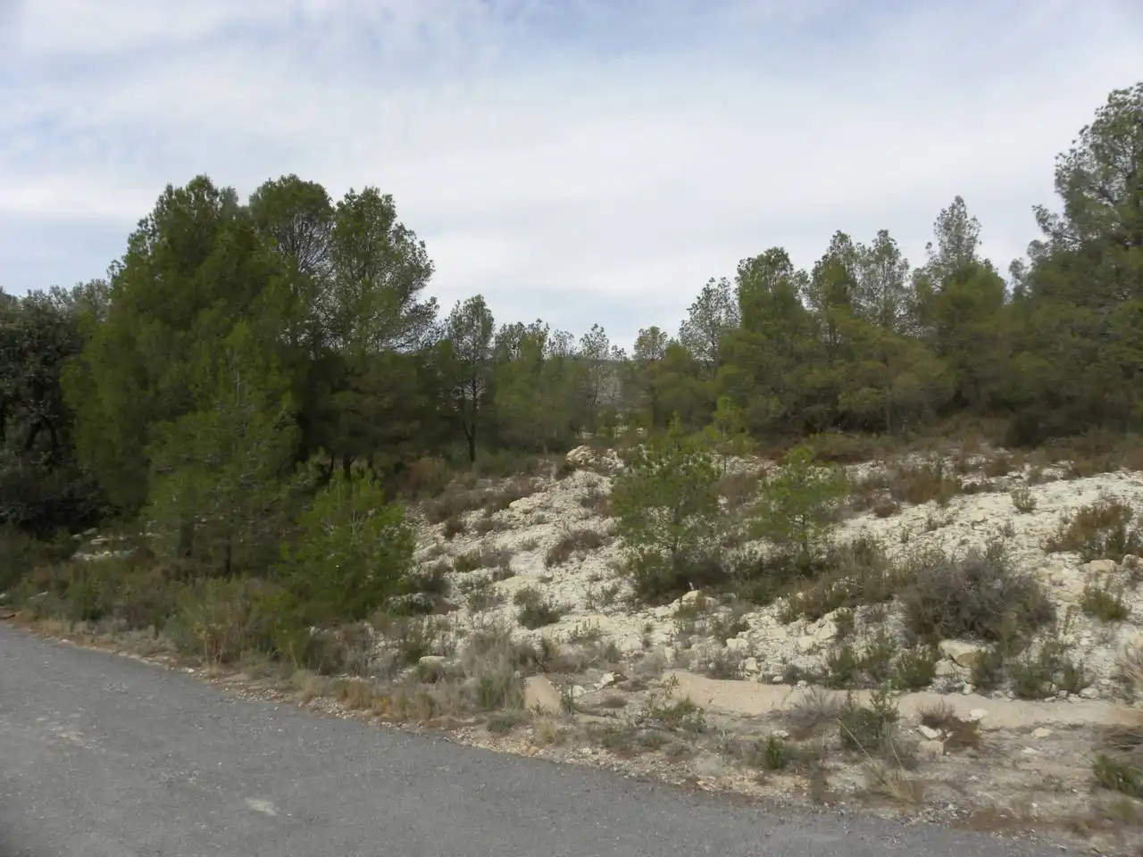 Terreno residencial en venta en Caravaca de la Cruz, imagen 12