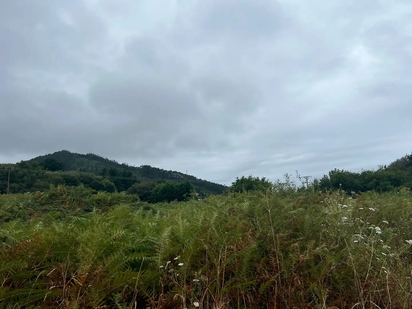 Terrenys i solars en venda a Área Rural, imagen 2