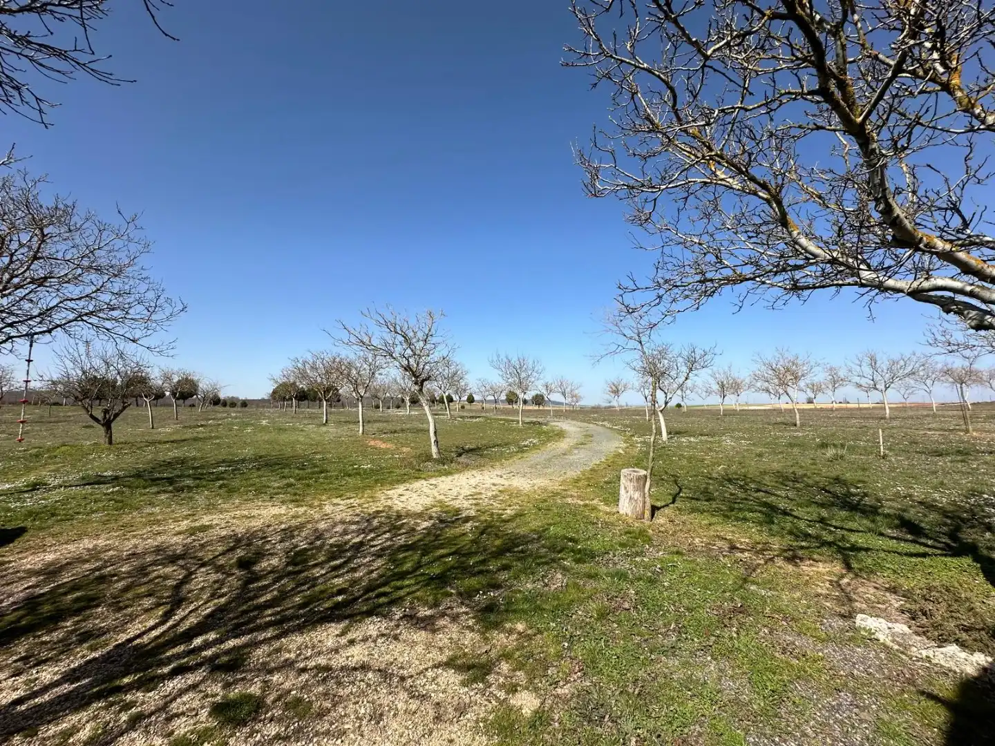 Houses for sale in Arlanzón  with Private garden