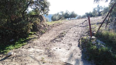 Foto 3 de Residencial en venda a Partidas Sur, Málaga