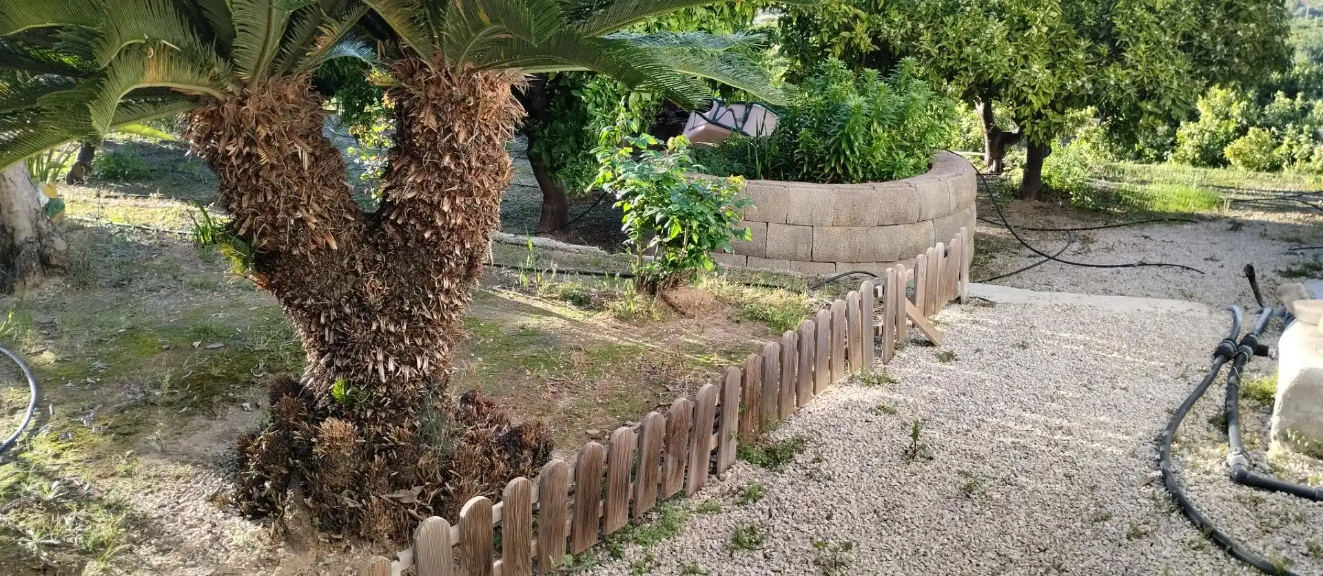 Rural land for sale in Pego, imagen 11