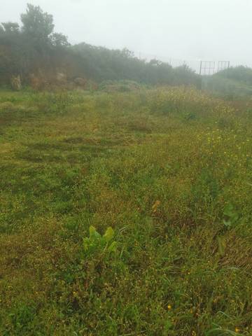 Terreno en Venta en Pasaje Erjos, 1 en Tristán - García Escámez - Somosierra