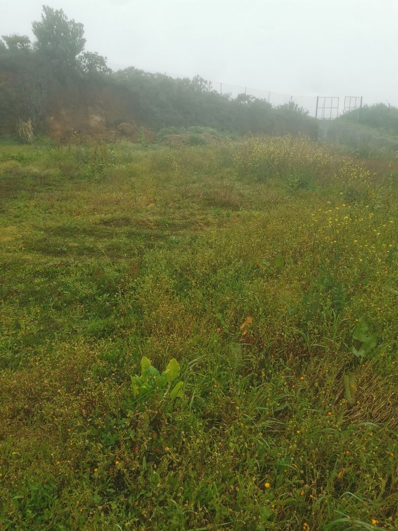 Land for sale in  Santa Cruz de Tenerife Capital