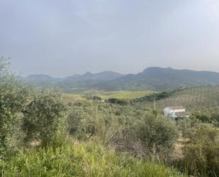 Finca rústica en venda en Algodonales amb Jardí privat, Terrassa i Moblat