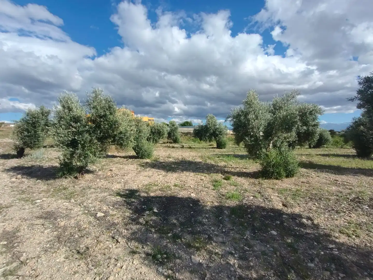 Rustikales Grundstück zum Verkauf in Carretera Murcia, imagen 8