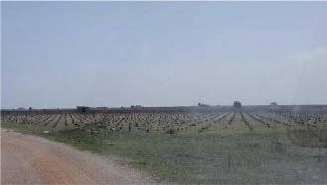 Terreno en Venta en 0avalengua en Mota del Cuervo