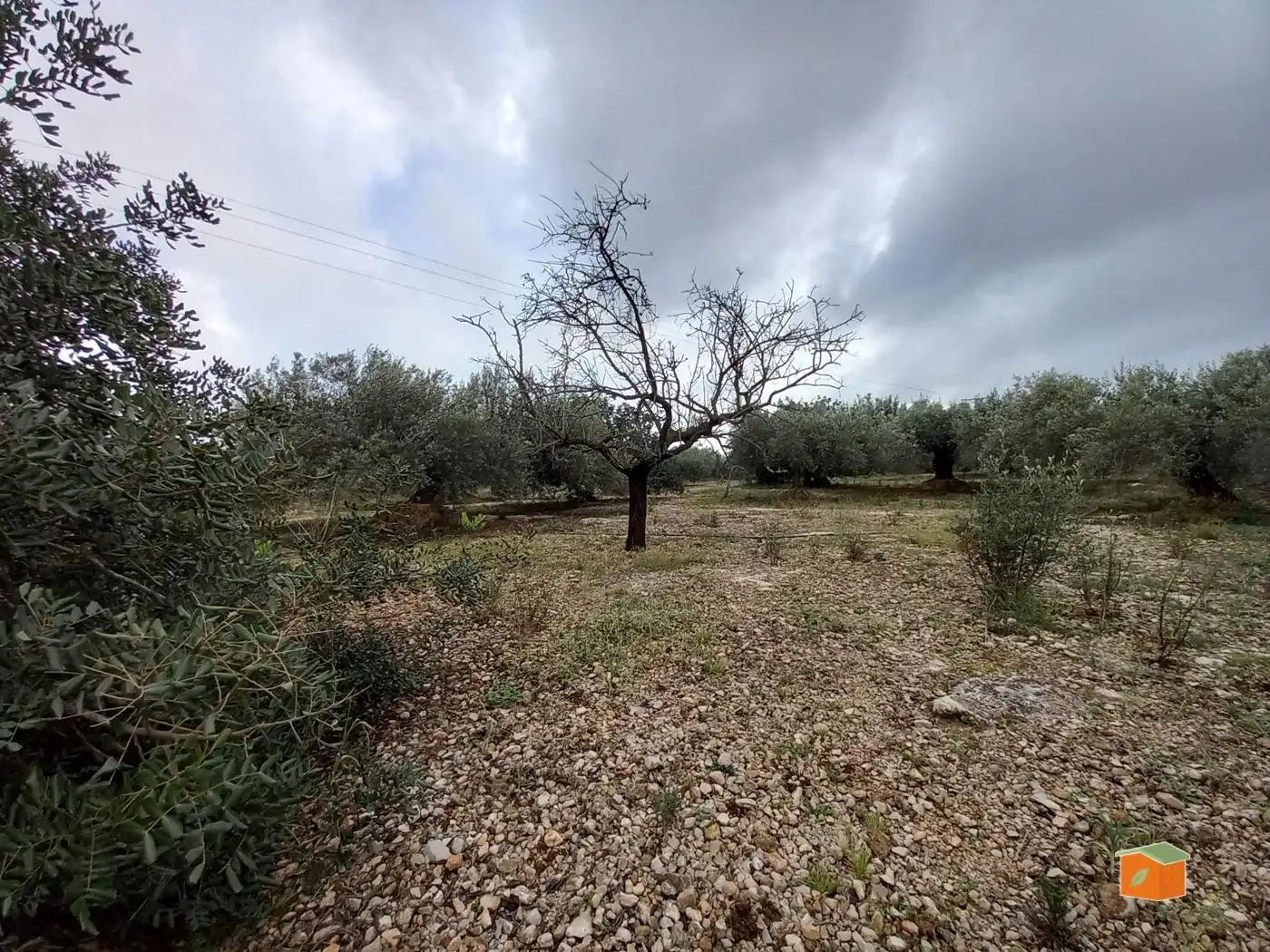 Terreno rustico in vendita a Alcanar, imagen 15