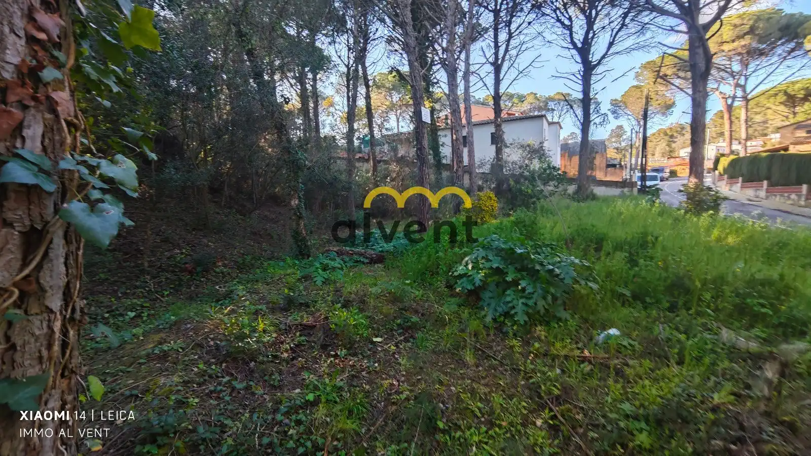 Rural land for sale in Manxa, imagen 27