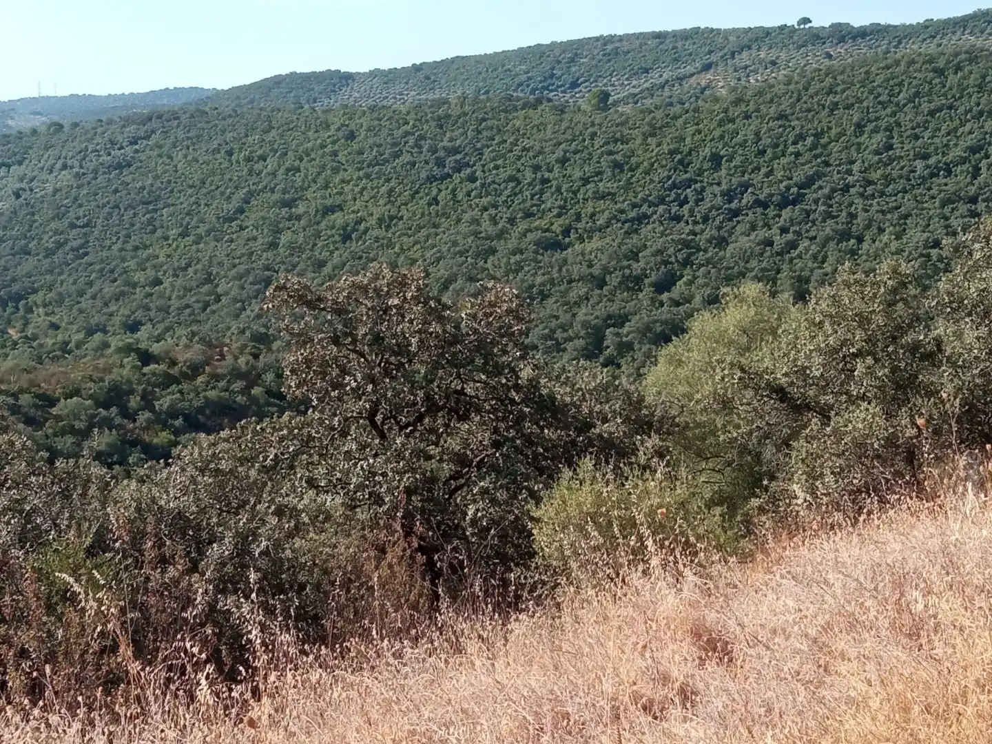 Terreno en venta en Córdoba