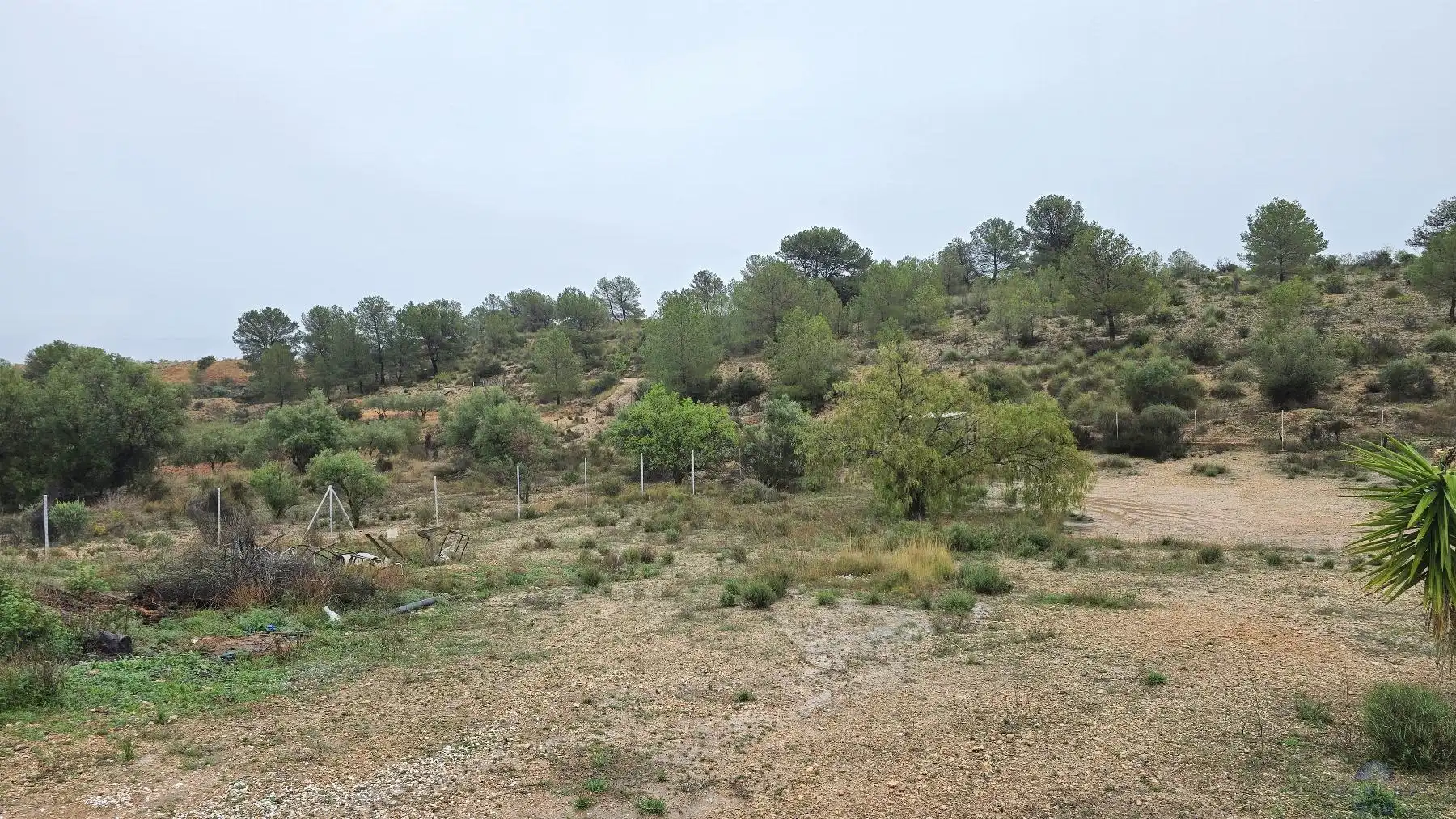 Houses for sale in Monóvar  / Monòver  with Storage room