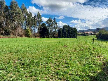 Rural land for sale in Pillarno