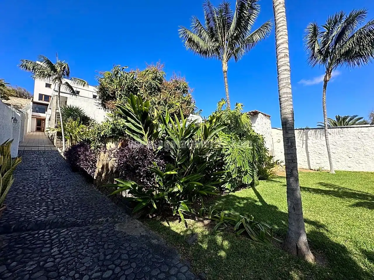 Vista exterior de Casa o chalet en venta en Los Silos con Aire acondicionado, Jardín privado y Terraza