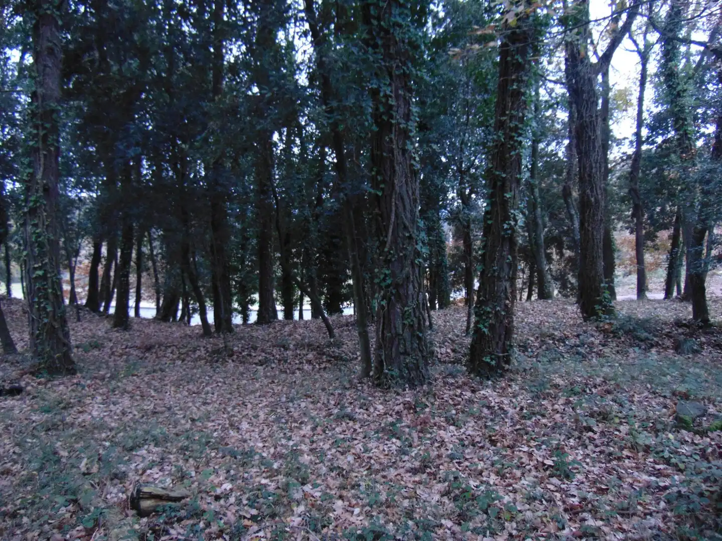 Residential land for sale in del Castell de la Popa 23, imagen 5