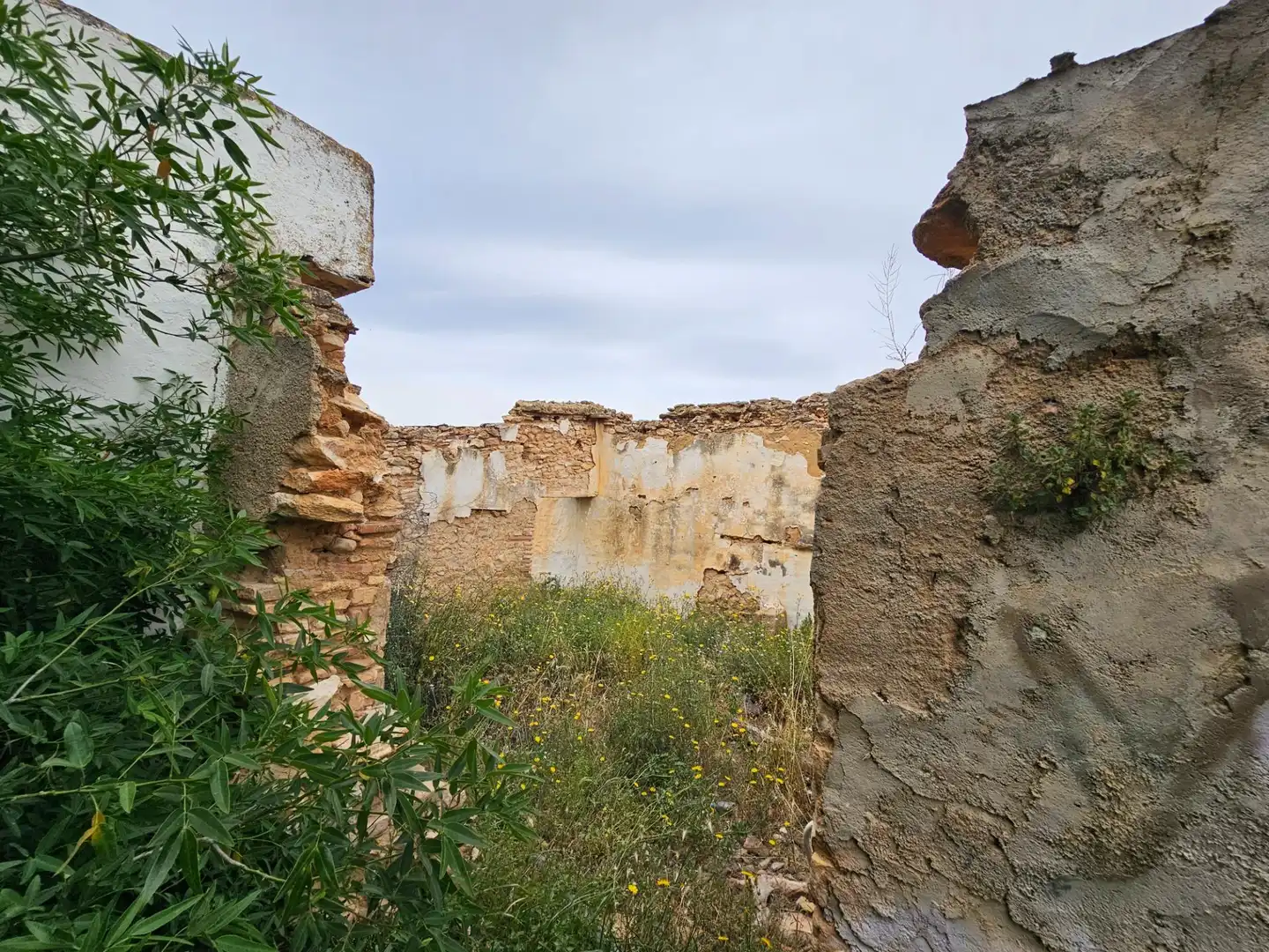 Landhaus zum Verkauf in Eucaliptus- Poble Nou del Delta, imagen 19