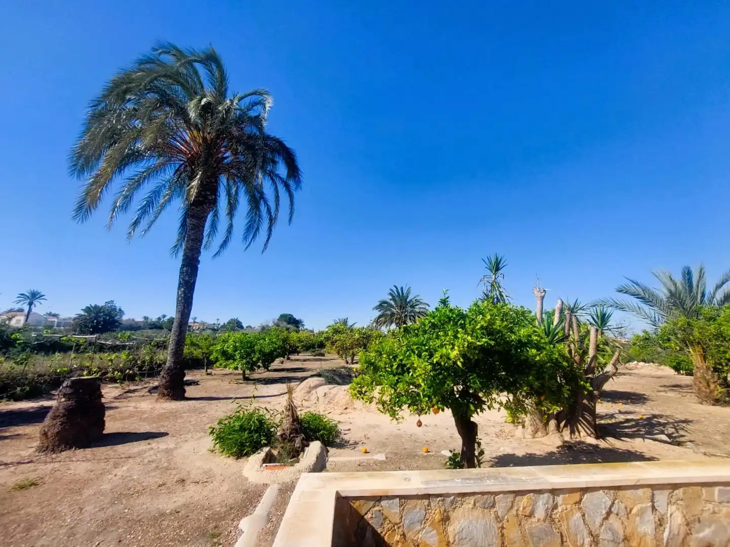 Residential zum Verkauf in Elche / Elx