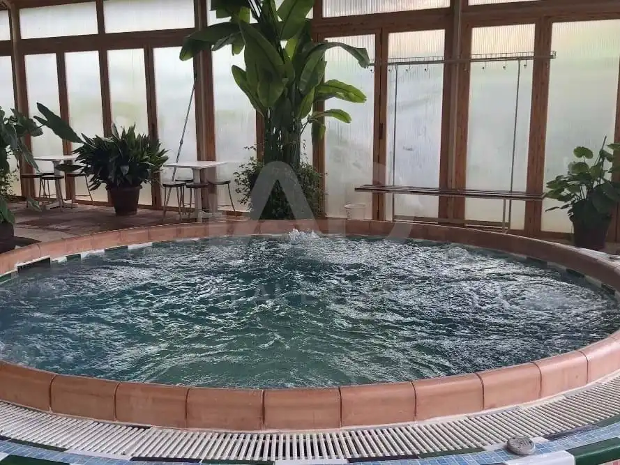 Schwimmbecken von Gebäude zum Verkauf in Siles