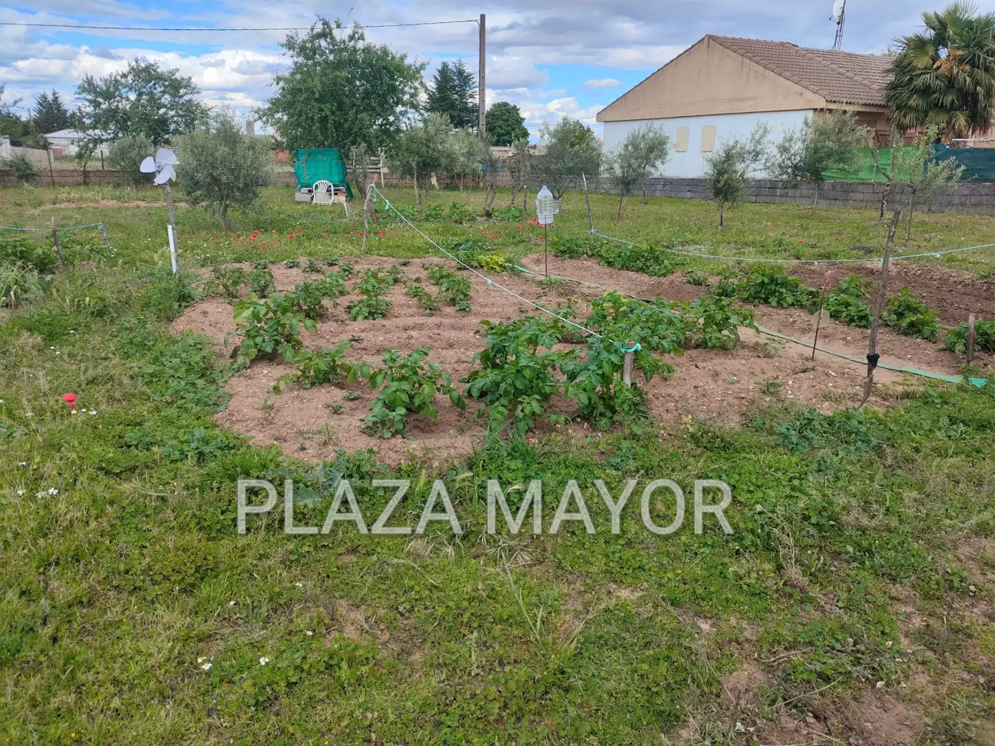 Terreno rustico in vendita a Villares de la Reina, imagen 2