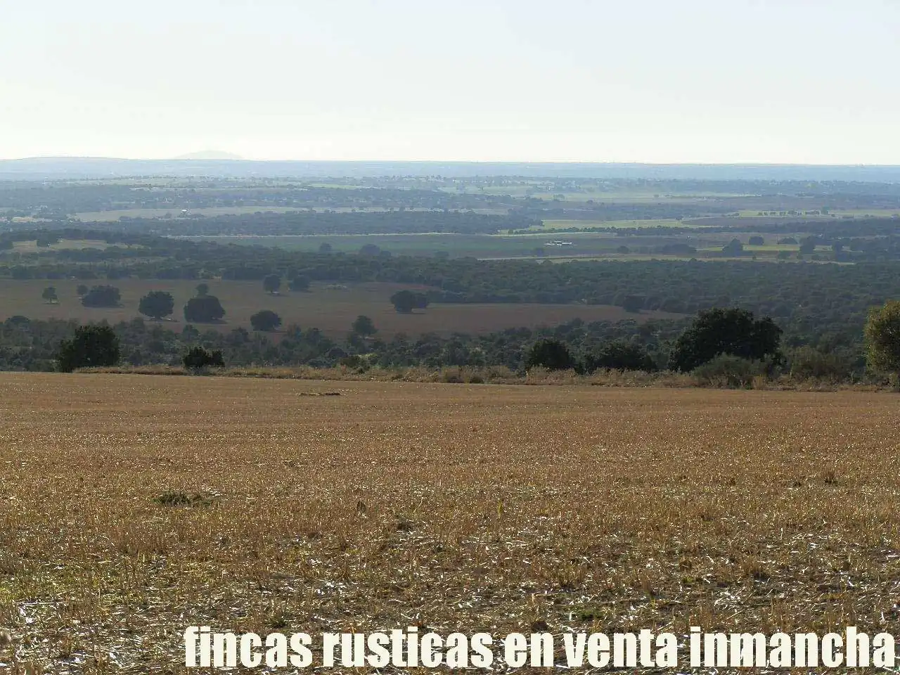 Lands and plots for sale in Ossa de Montiel, imagen 2