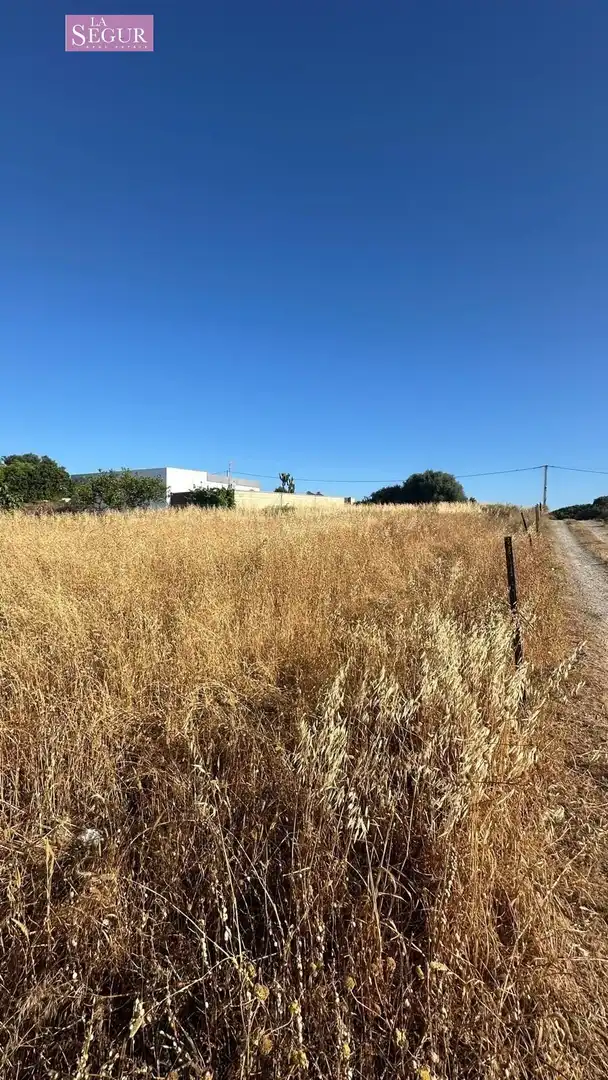 Grundstücke zum Verkauf in Conil de la Frontera