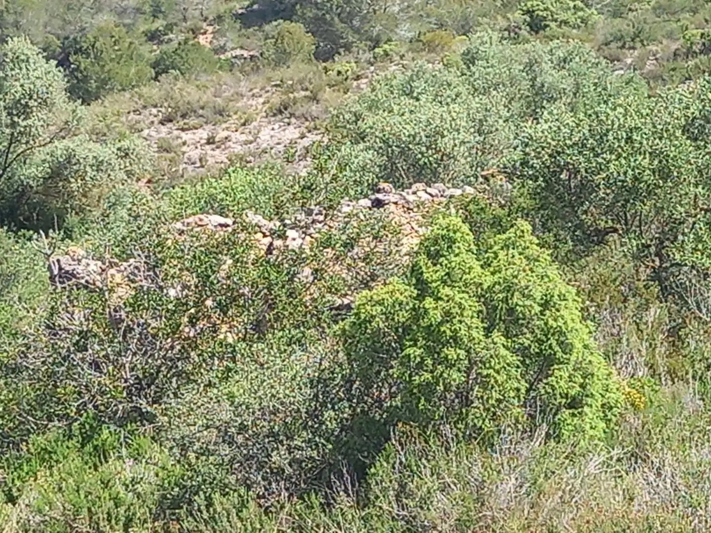 Terreny rústic en venda a Miravet, imagen 16