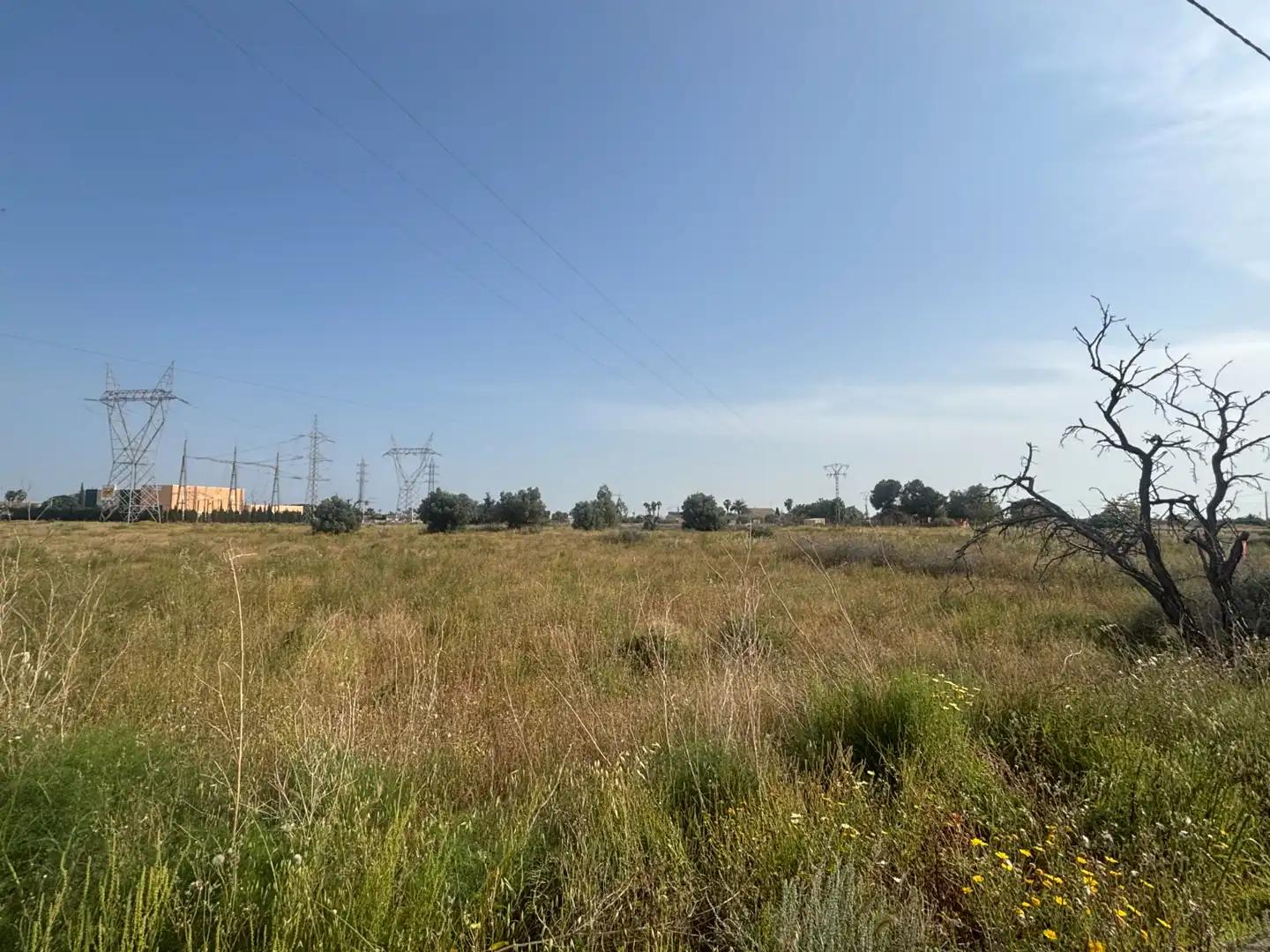 Grundstücke zum Verkauf in Elche / Elx