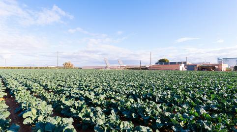 Foto 5 de Finca rústica en venda a Pozo Estrecho, Murcia