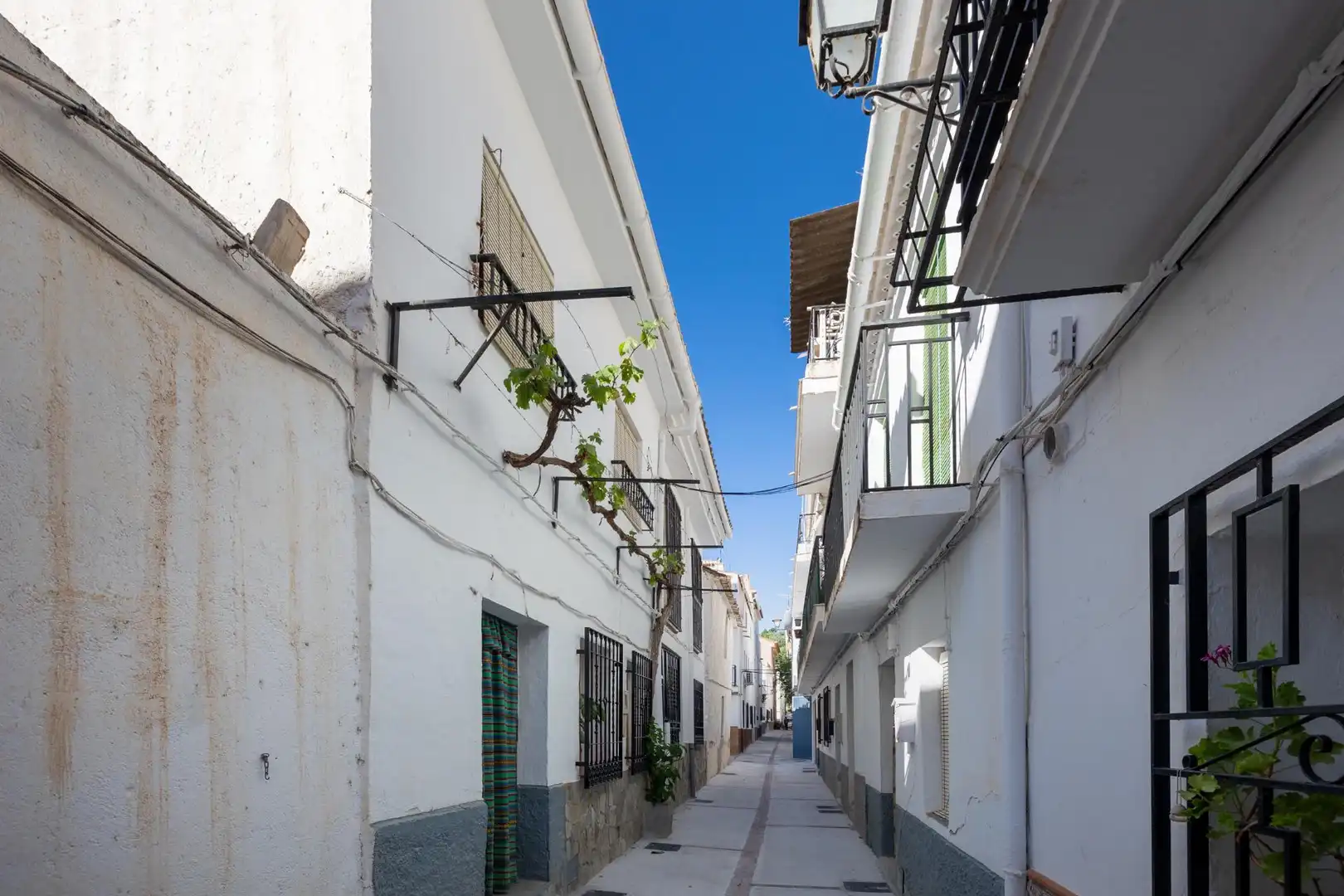 Vista exterior de Finca rústica en venta en Albuñuelas