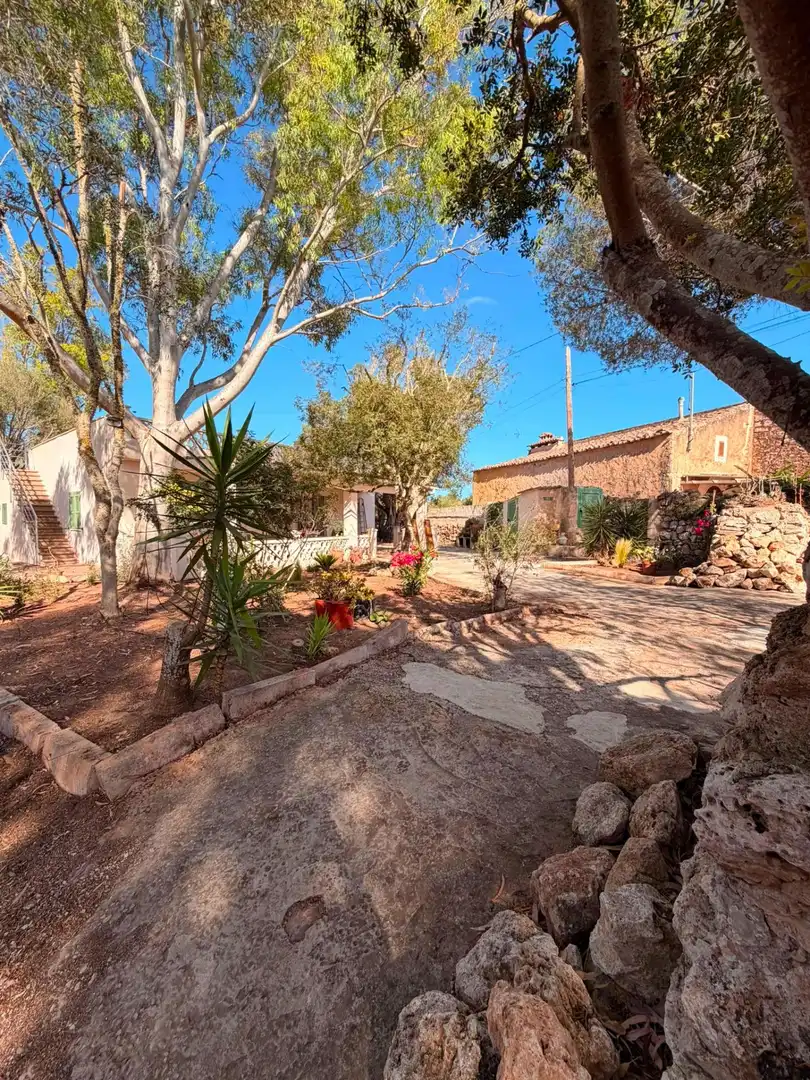 Jardí de Casa o xalet de lloguer en Ses Salines amb Jardí privat i Terrassa