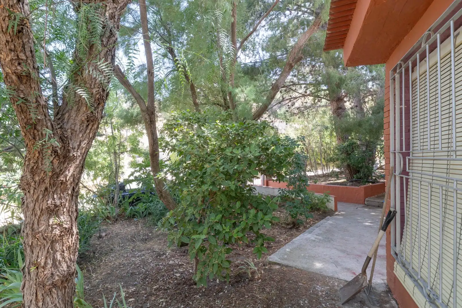 Jardí de Finca rústica en venda en Caniles