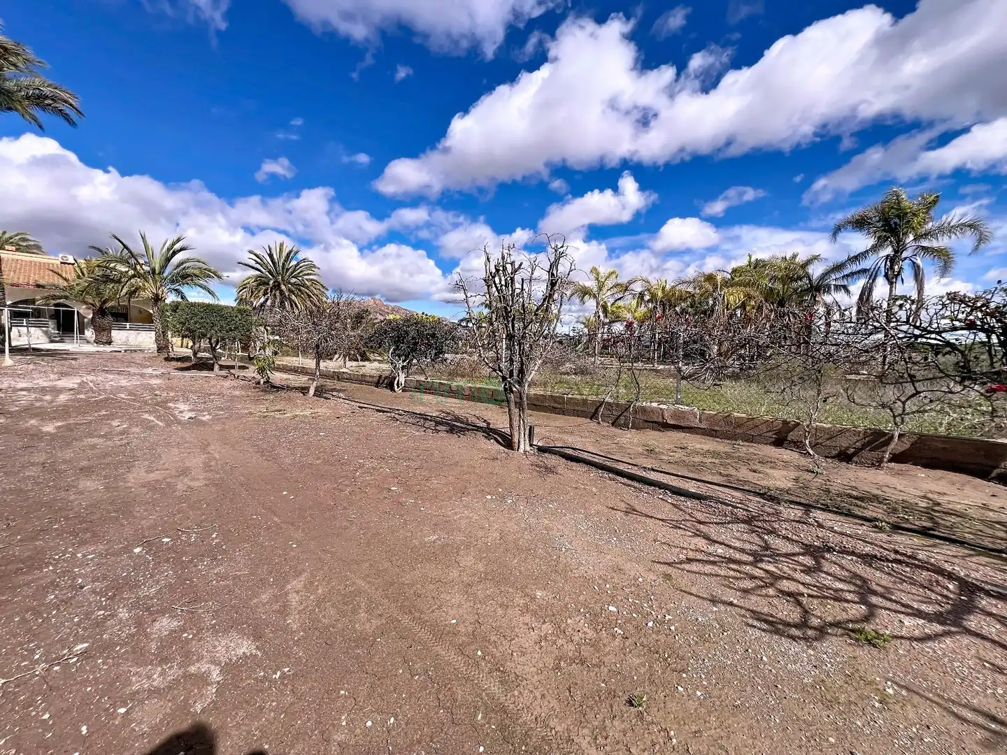 Casa con giardino in vendita a San Juan de los Terreros, imagen 16