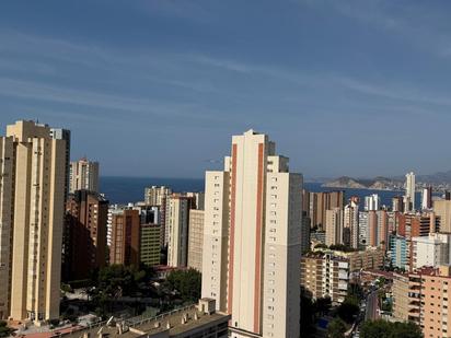 Vista exterior de Apartament en venda en Benidorm amb Aire condicionat i Piscina comunitària