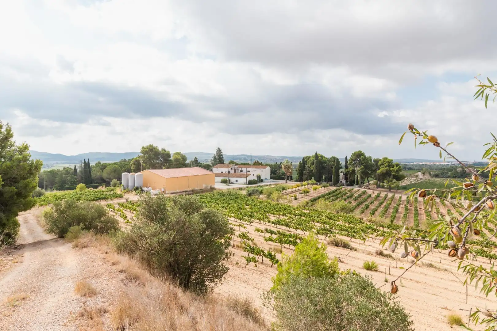 Vista exterior de Finca rústica en venda en Castellet i la Gornal amb Calefacció, Jardí privat i Terrassa