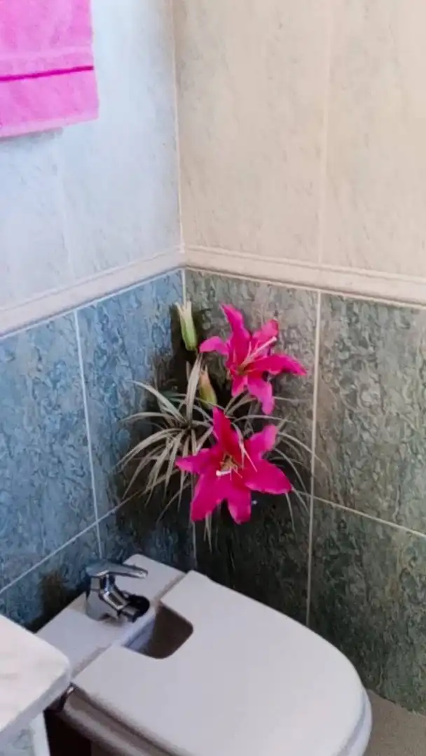 Baño de Casa o chalet en venta en Yaiza con Jardín privado, Terraza y Amueblado