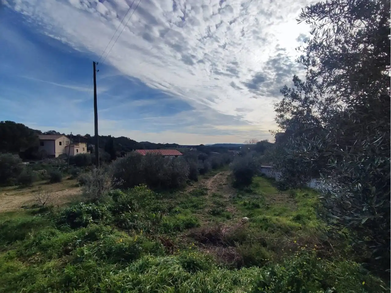 Industrial land for sale in Azlor