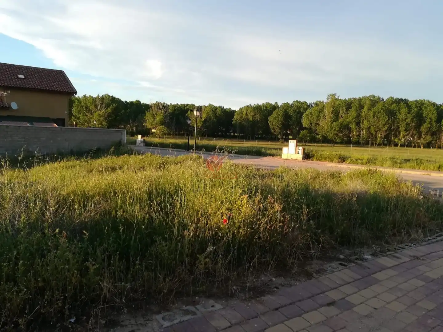 Terreni e lotti in vendita a ARCAS, R. LAS PRADERAS, GAYANES G-13, imagen 6
