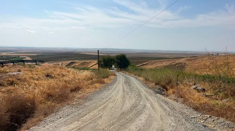 Venta de finca rústica en Carmona Sevilla, immagine 4