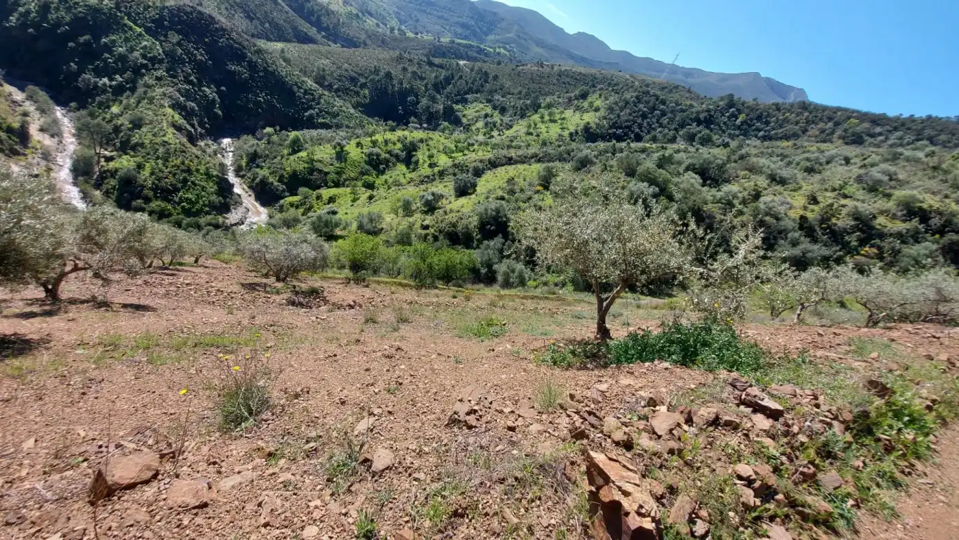 Terreni e lotti in vendita a Monda, imagen 13