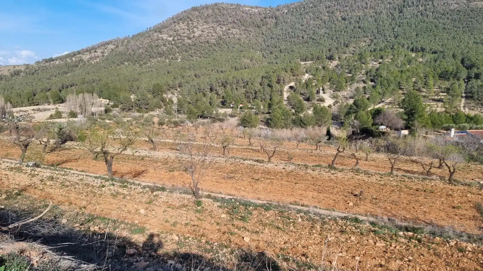 Terrenys i solars en venda a Pasaje diseminado fuente mula, imagen 13