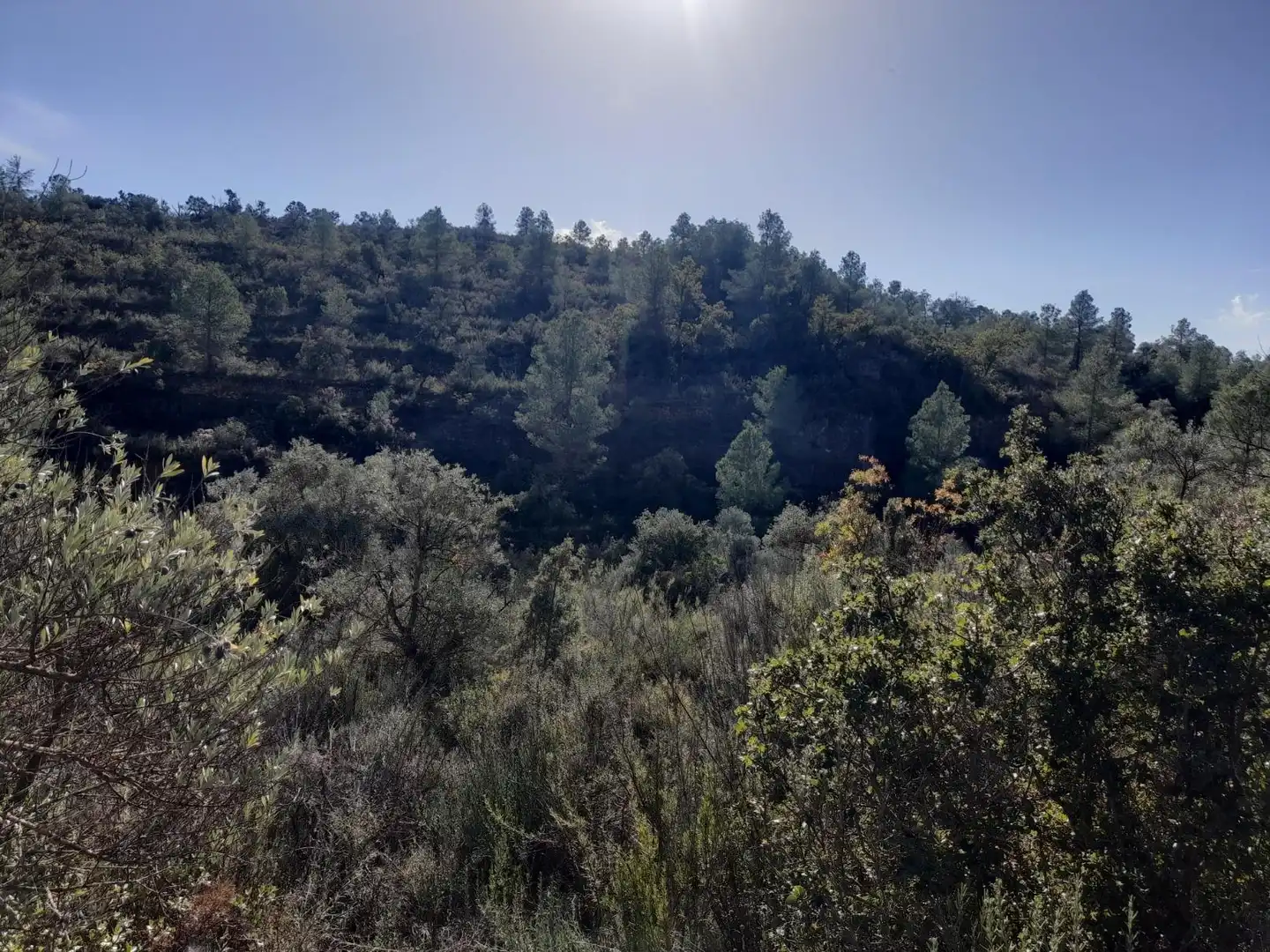 Land for sale in La Palma d'Ebre