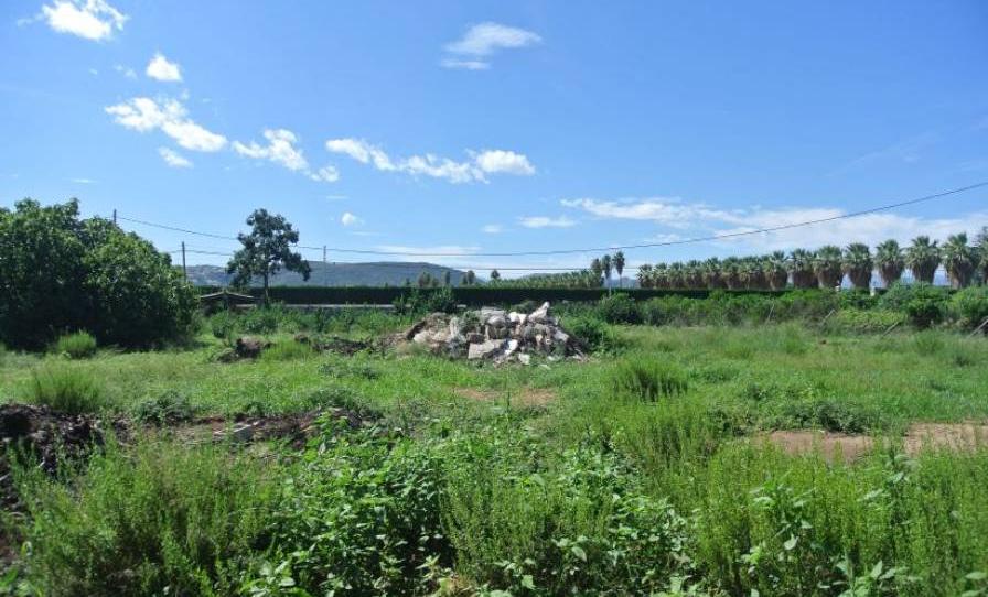 Photo 1 of Residential for sale in Les Bassetes - El Marjal, Alicante