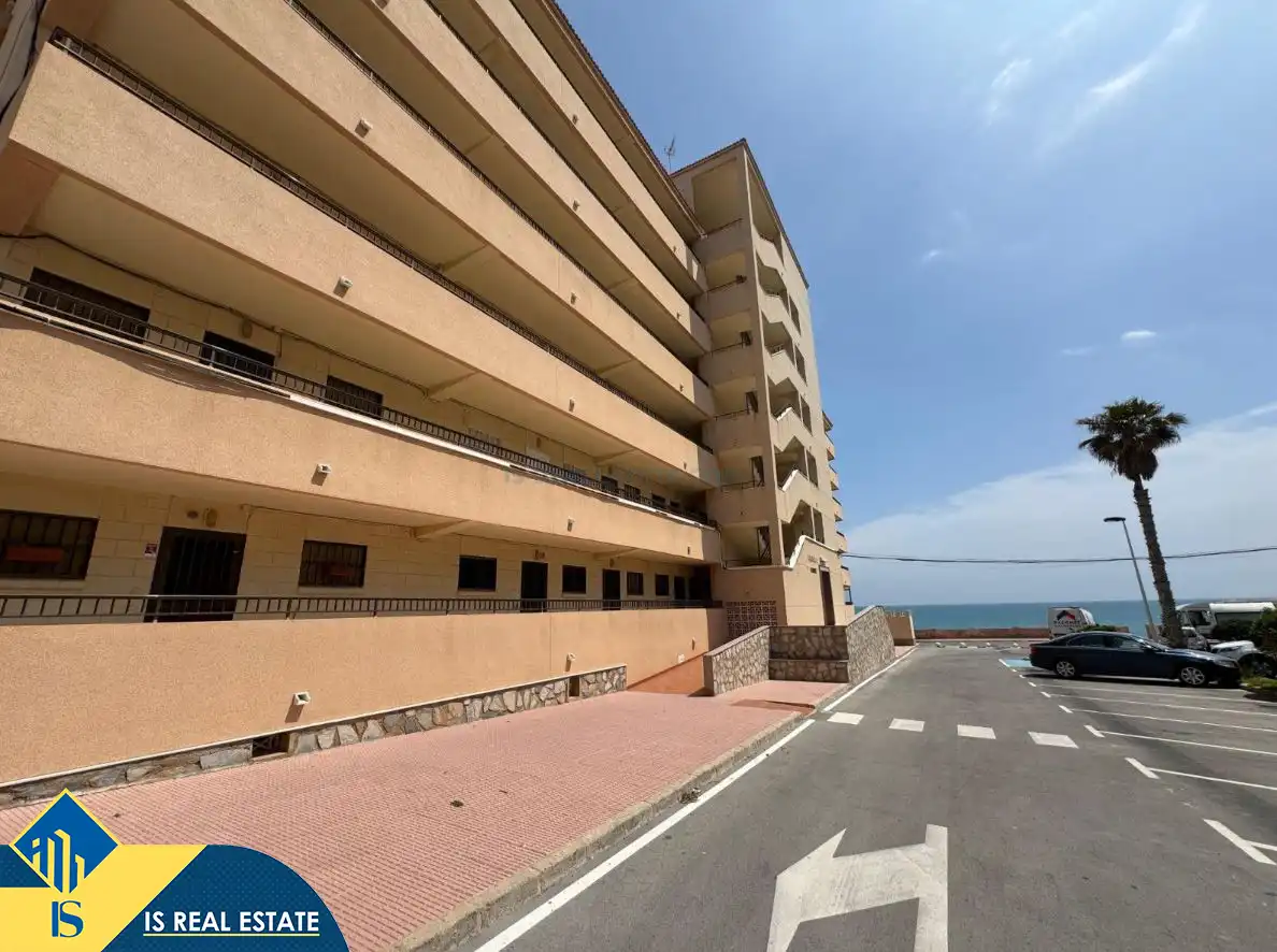 Apartamento en venta en La Mata, imagen 13