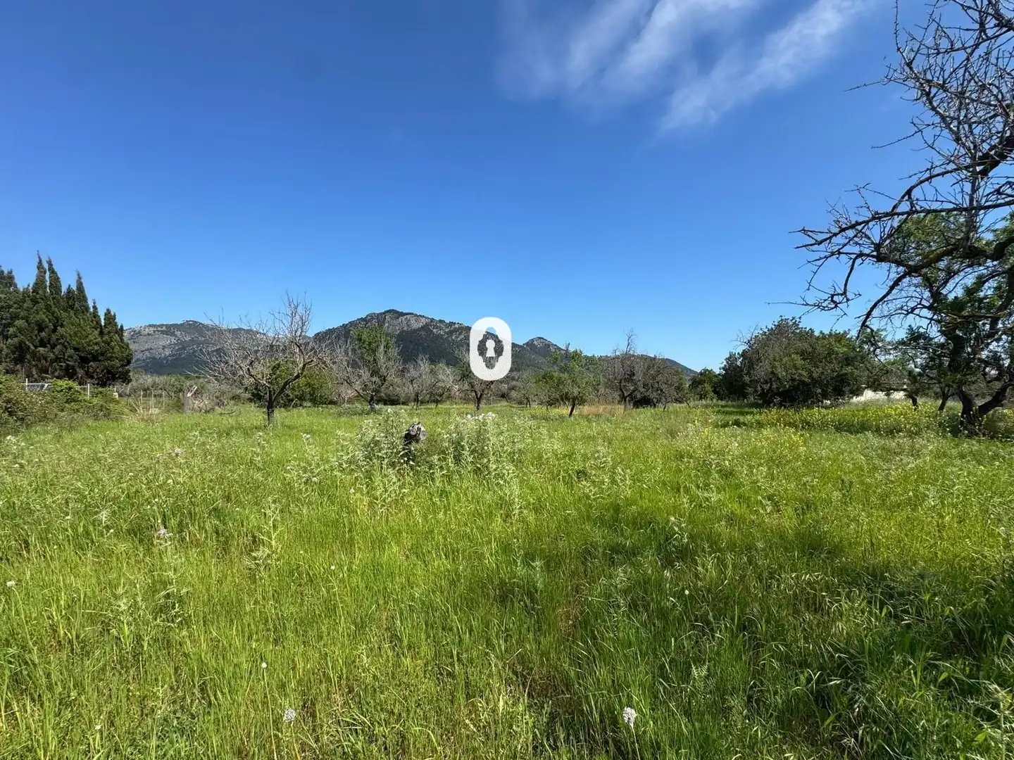 Residential for sale in Polígono 15 Parcela 49 SON MORRO. SELVA (ILLES BA, Selva