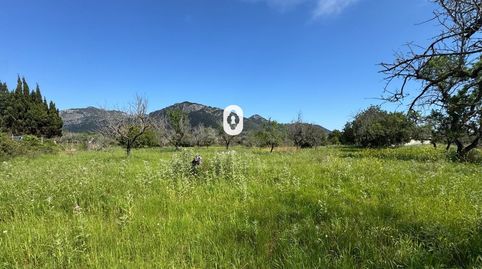 Se vende terreno con proyecto básico, Selva., immagine 2