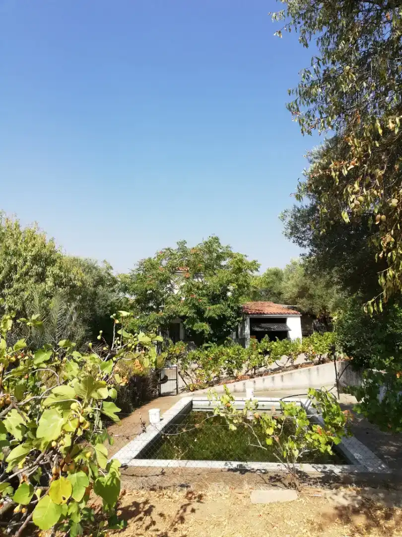 Finca rústica en venda en Plasencia amb Jardí privat, Traster i Piscina