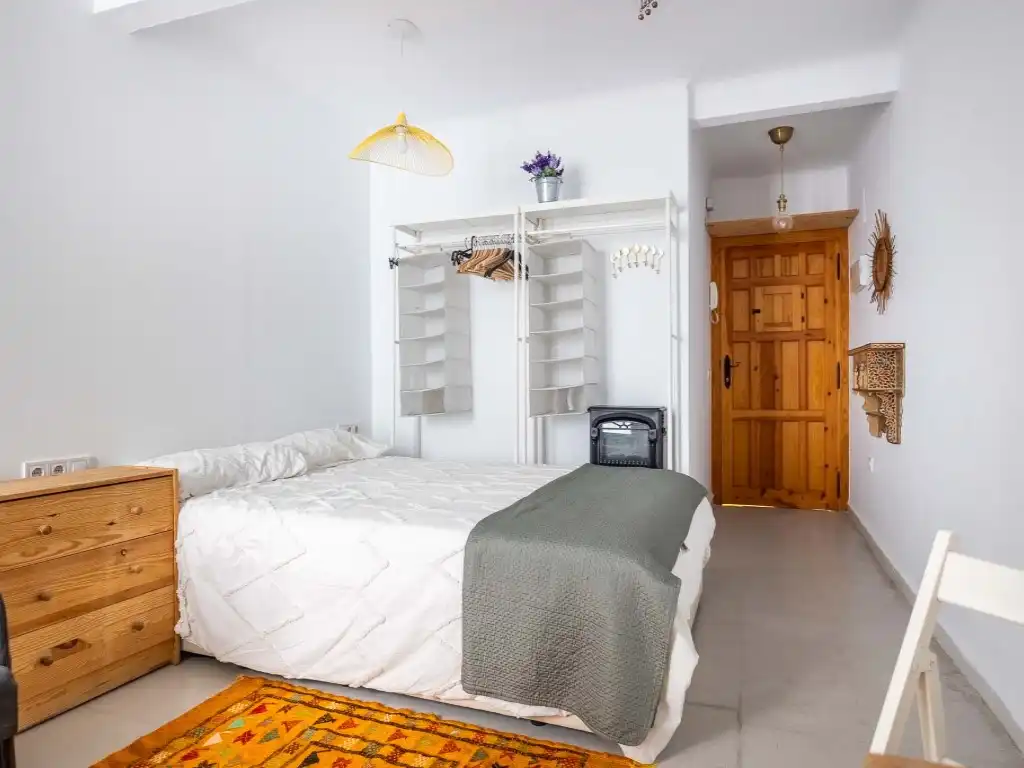 Studio for sale in Casco Antiguo, imagen 12