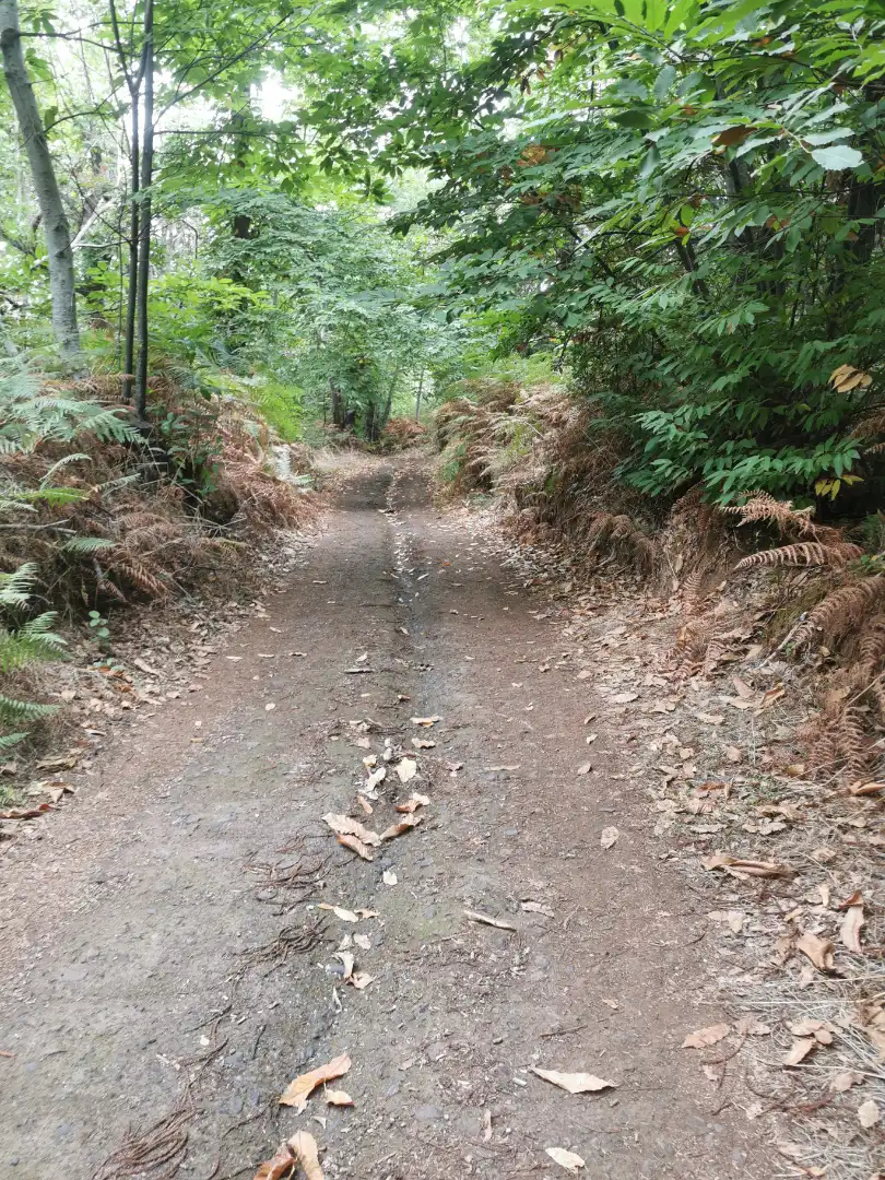 Außenansicht von Grundstücke zum Verkauf in Santa Úrsula
