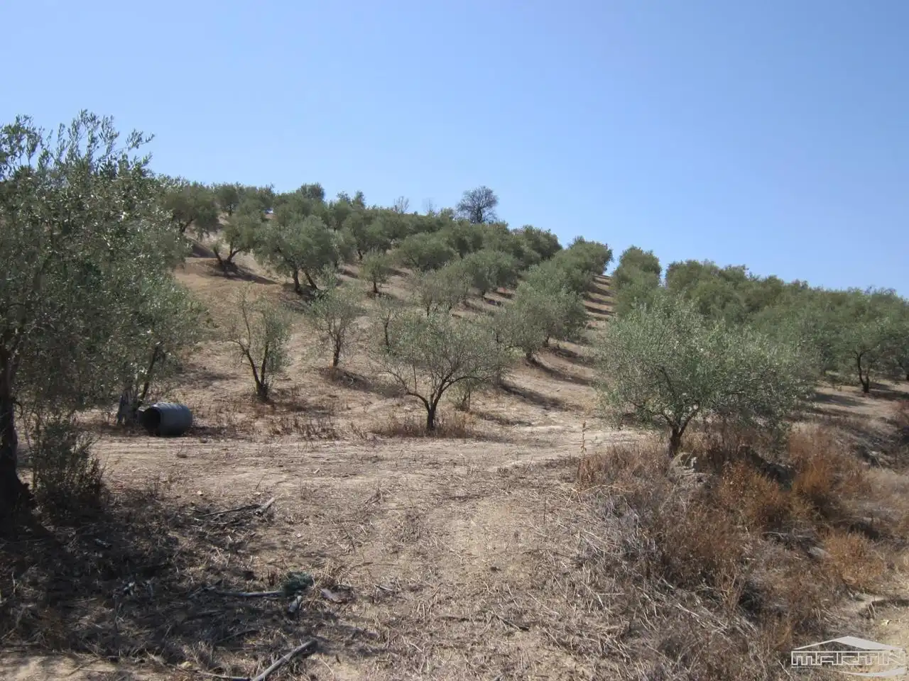 Land for sale in Paraje Villar de Don Lain, Jauja