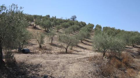 Photo 4 of Land for sale in Paraje Villar de Don Lain, Jauja, Córdoba