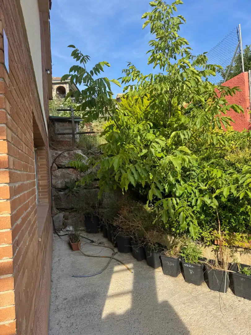 Jardí de Casa o xalet en venda en Cànoves I Samalús amb Calefacció, Jardí privat i Terrassa